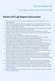 Onion plant cell under microscope labeled. Onion Cell Lab Report Discussion Essay Example