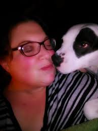 Adopted chocolate lab from Stark County