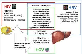 Patienten ist allerdings die eigene infektion. Ausgabe 4 2008 Hbv Hcv Und Hiv Gemeinsamkeiten Und Unterschiede Aus Sicht Des Virologen