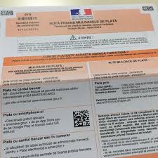 Sute de cetateni care au amenzi neplatite sunt trimisi de judecatori sa munceasca in folosul comunitatii; Amenzi De CirculaÈ›ie Din FranÈ›a Care Vin In Romania In RomanÄƒ Cristian China Birta