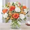 Shop these other plant categories. Https Encrypted Tbn0 Gstatic Com Images Q Tbn And9gcqaze 7x68r8lrf9vmvk357gxdsax7 Cg6jyt17yaxo Pehfpd Usqp Cau