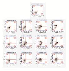 Image result for Ptycholobium contortum