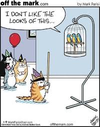 Pin By Zoe Coles On Laughs Funny Cartoons Cat Jokes Cat Birthday