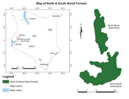 Image result for Rinorea brachypetala