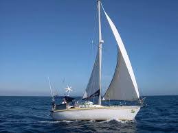 Resultado de imagen de IMAGEN VIENTO DE COLA