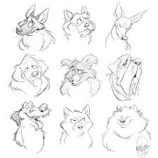 Andy Scherman Dogs Heads Breeds Different Cartoon Dog Drawing Dog Sketch Animal Drawings
