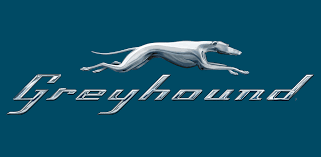 Featuring racecards, race results and latest greyhound news. Greyhound Lines 7 18 901 Download Android Apk Aptoide