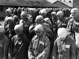 Image result for holocaust photos