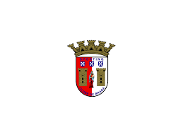 It also contains a table with average age, cumulative market value and average market value for each player position and overall. Sc Braga