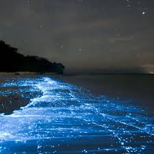 phosphorescence