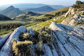 Geological survey) publishes a set of topographic maps of the u.s. Vegetation Inventory And Map For City Of Rocks National Reserve U S National Park Service