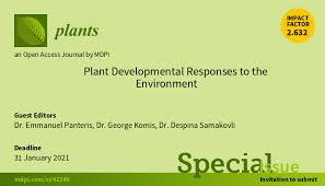 Maybe you would like to learn more about one of these? Plants On Twitter Plants Mdpi New Special Issue Plant Developmental Responses To The Environment Edited By Dr George Komis Dr Emmanuel Panteris And Dr Despina Samakovli Is Open For Submission Link Https T Co Dnygmyudin