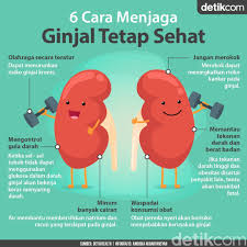  6 Cara Menjaga Ginjal Selalu Sehat Pendidikan Kesehatan Kutipan Kesehatan Perawatan Kesehatan