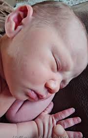 Ancestors of Salem witches descendants