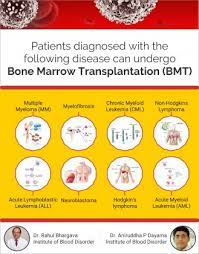 Bone Marrow Transplant – A Cure For Blood Cancer