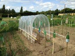 Abri Pour Les Tomates Les Petits Plaisirs De Noumie Bricolage Jardin Jardin Potager Idee Deco Jardin