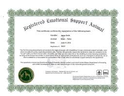 Purring can also have therapeutic effects on the only emotional support cat registration you need is an esa letter. Therapy Pets Emotional Support Service Cats Esa Catsuperior Quality Persian Himalayan Kittens For Sale In A Rainbow Of Colors In Business For 32 Years