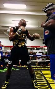 Floyd Mayweather Money Team Boxing Train Floyd Mayweather Training Mayweather Training Floyd Mayweather