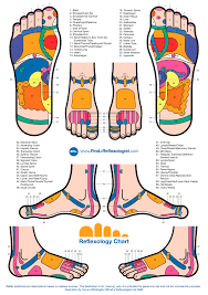 Human Body Pressure Points Chart Reflexology Foot