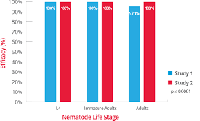 Bravecto can also be used for the prevention of heartworm disease. Bravecto Plus For Cats Merck Animal Health Usa