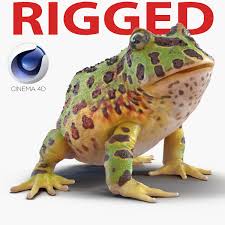 3d Pacman Frog Rigged Model 3d Model Pacman Frog Frog Cinema 4d