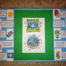 Maybe you would like to learn more about one of these? Making A Lapbook For Plant And Animal Cells Wehavekids