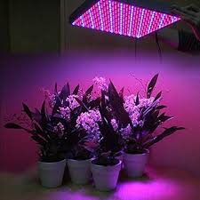 Check spelling or type a new query. Hydroponics Seed Starting Supplies 14w 225led Hydroponic Plant Grow Light Lamp Full Spectrum Veg Bloom Indoor Plant Garden Patio Etiqu In