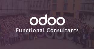 Odoo Functional Consultant