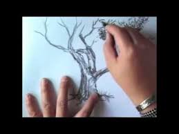 Cara Menggambar Pohon Dengan Pensil Cara Menggambar Gambar Pensil