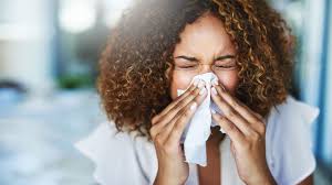 We did not find results for: Heuschnupfen Mit Der Richtigen Ernahrung Gegen Pollenallergie Stern De