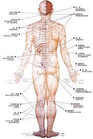 Acupuncture Points Back Healing Acupuncture