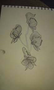 Wolfsbane Flower Charcoal Pencil Sketch Flower Sketches Flower Drawing Ink Sketch