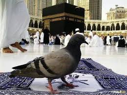 A collection of the top 58 khana kaba wallpapers and backgrounds available for download for free. Download Khana Kaba Wallpaper Free Download Gallery