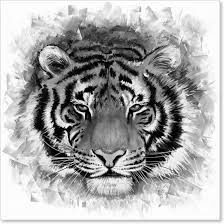 tijger zwart wit schilderij op canvas zwart wit schilderij tijger illustratie