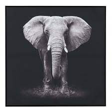 Optez pour un cadre ou tableau noir et blanc à la fois sombre et lumineux qui crée un contraste en apportant simplicité et raffinement à votre décoration murale. Cadre Elephant Bois Noir Et Blanc Jolipa