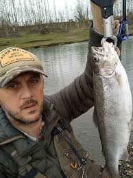 ჯოხი Daiwa silver creek 5-21 gr კოჭა Daiwa Fuego 2500 წნული Daiwa J Braid  x8 0.12# Spoon Blufox 2 gr # შედეგი Trout 1.800 kg 🎣😊😉