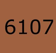 #6107 Dark Golden Brown