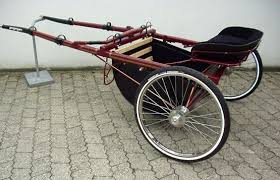 Pleasure Driving Cart Sulkysport Maier In Munchen Herstellung Von Sulky Rennsulky Gig Kutschen Miniaturpferde Pferde