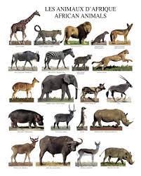 We did not find results for: Animals From A Z Loniedesire