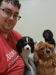 Enrichment time for Sophie, Vinnie, Charlie and Frankie. Such an adorable 4  pack of pups!