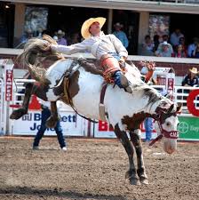 Tickets on sale today and selling fast, secure your seats now. Bullenreiten In Kanada Das Grosste Rodeo Der Welt Svz De