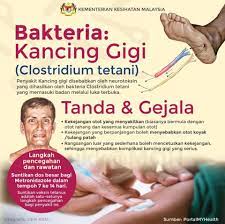 Spora clostridium tetani ini akan masuk ke dalam tubuh manusia. Kancing Gigi Ataupun Kementerian Kesihatan Malaysia Facebook