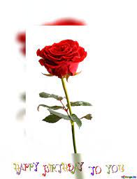 Find & download free graphic resources for birthday flowers. Download Free Picture Happy Birthday Card Rose Flower On Cc By License Free Image Stock Torange Biz Fx 80076