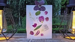 Check spelling or type a new query. Bastelideen Mit Getrockneten Blumen Betzold Blog