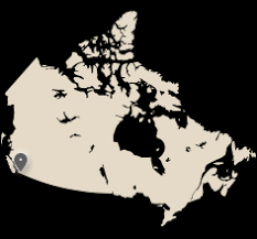 Browse professional date options in vancouver and all major centers/cities in canada. Vancouver Dating The First Step For Love That Lasts Elitesingles