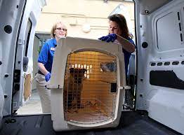 International Pet Shipping Scandasia