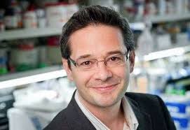 Cancer Research UK and British Heart Foundation warn Prime Minister they  may have to cut £200m from research funding