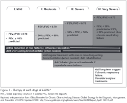 Image result for Medications in COPD Management