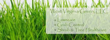 Enter your address to see what services we offer and receive a personalized quote. West Virginia Green Llc Home Facebook