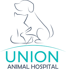 Pet dental care usa liberty veterinary medical center west rome animal clinic juno beach animal hospital mokena animal clinic hebron veterinary hospital sunnyside pet hospital. Our Dental Care